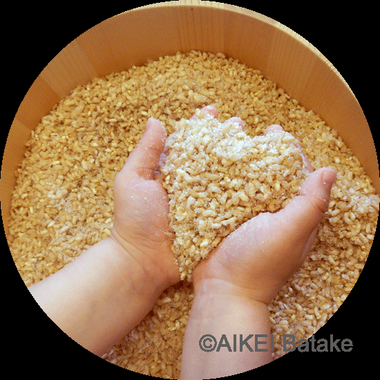 あいけいばたけの2月：寒い冬にこどもたちと仕込む「あいけいみそ」秋には仕込んだ味噌でお味噌汁をつくろうね 